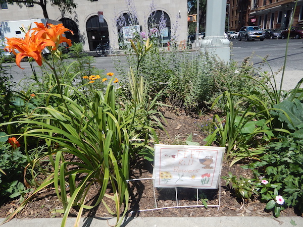 Annual Tour Touts Perennial Tale of Urban Gardening 6 Day lilies in a tree pit on Ninth Ave., near W. 26th St. Photo by Jane Argodale.