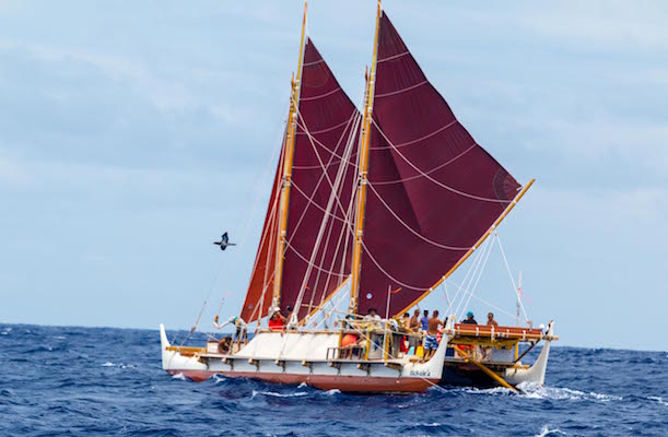 Hōkūle‘a, South Seas Voyaging Canoe, to stop at North Cove Marina on world tour 1 Hōkūle‘a, on the seas since 2013, arrives at North Cove Marina on June 5 and sails up the East River to the United Nations on June 8.