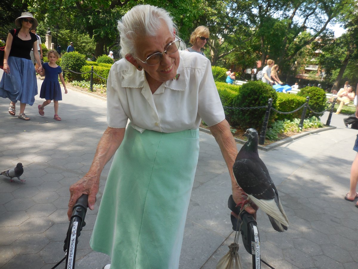 Park aflutter over Doris’s new personal pigeon 2 doris-pigeon-2016-06-30-v01,VIL,PRINT_WEB,WEB