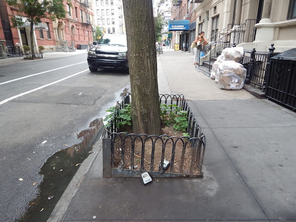 On W. 21 St. (btw. Eight & Ninth Aves.), two lockboxes are attached to a tree guard — which the Parks Dept. says is allowed. Photo by Jane Argodale.