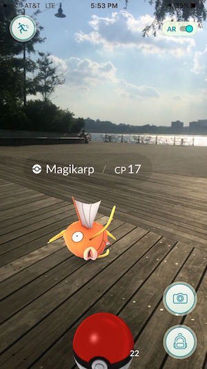 A Magikarp flops ashore at Hudson River Park’s Pier 62. Photo by Jane Argodale.