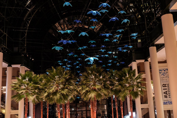 The inflatables are set off by the dark night background.