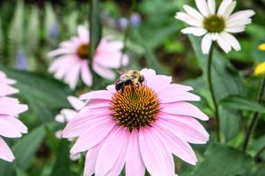 laguardia-garden-2016-07-14-v02,VIL,PRINT_WEB,WEB