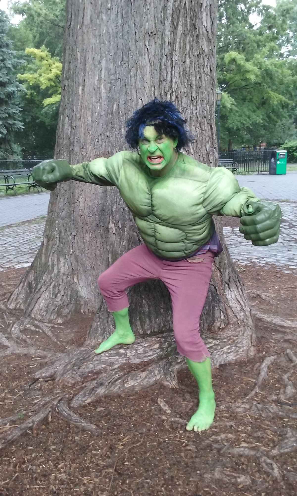 The Incredible Hulk in Tompkins Square Park for some reason. Photos by Gerard Flynn