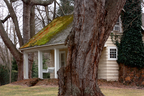 Mark's moss-covered house in “Indigo Children.” © 2012 Indigo Children LLC.