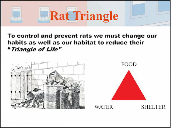 Be aware of the “Triangle of Life,” in order to limit rodents’ access to resources. Image courtesy D.O.H.M.H.