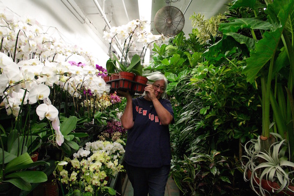 Maryann Finnegan worked as a landscape architect before she took over her late husband’s shop. Photo by Yannic Rack.