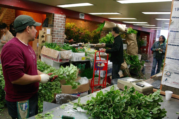 Workers inside of Major Wholesale Florist prepare greens for pickup later that day. Photo by Yannic Rack.