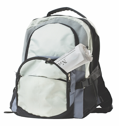 HEADLEY backpack copy