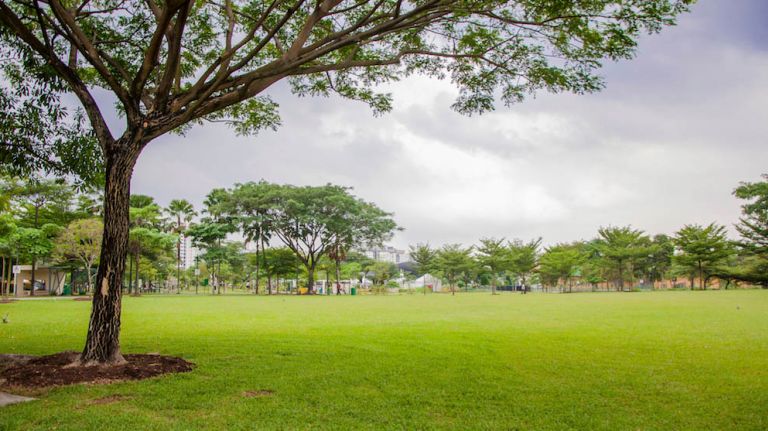 One park in each borough will received $30 million for major improvements, city officials announced on Thursday, Aug. 18, 2016.