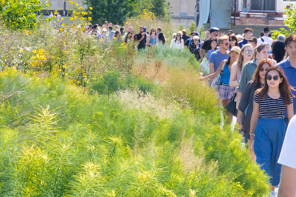 Sept_8_Grass_People