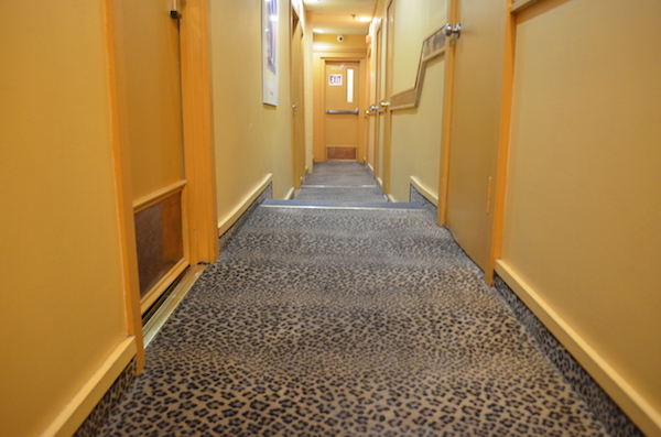 DHS Ducks Capacity Crowd as CB5 Cuts Shelter Info Session Short 7 Leopard print carpeting in the La Semana hotel, which was once labeled "New York's Grossest ‘Sex’ Hotel" by the Huffington Post. Photo by Alex Ellefson.