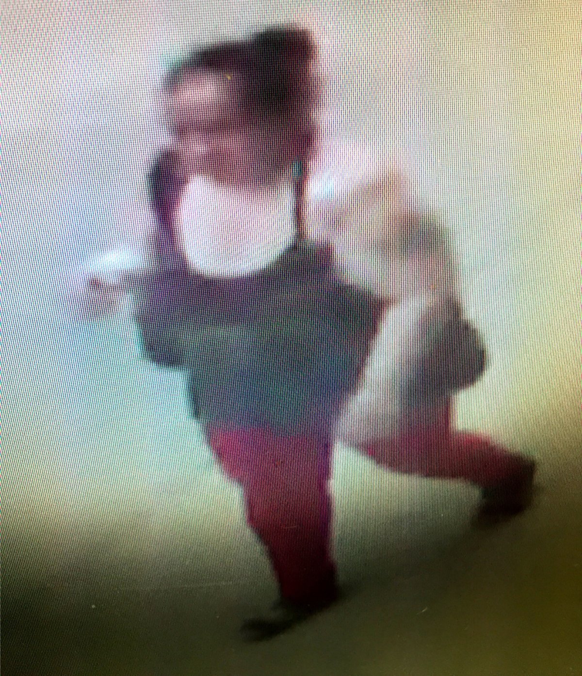 A surveillance camera image of a woman who allegedly tried to steal a 90-year-old woman’s duffel bag on Fifth Ave. Photo courtesy N.Y.P.D.