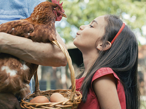 Fresh Kids Kids can get up close and personal with farm animals that the Farm Fresh Festival for Kids on Sept. 17 at the Seaport.