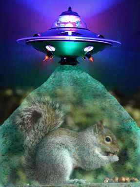 ufo-squirrelWEB