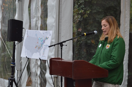 CHEN-bat-cave-wendi-copy