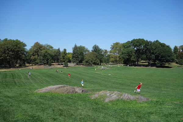 Central Park Restorations Planned for West 80s 2 The park's East Meadow after its restoration. | CENTRAL PARK CONSERVANCY