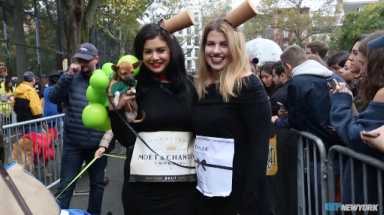 Dogs parade their Halloween costumes in Tompkins Square Park
