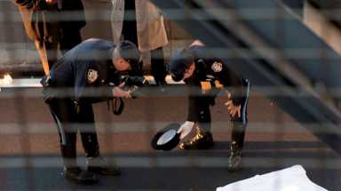 AMNWBRIDGE1102_WEB