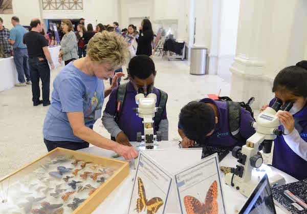 Young visitors to the American Museum of Natural History’s Insect Investigation Day enjoyed microscopic views of butterflies. | AMNH 