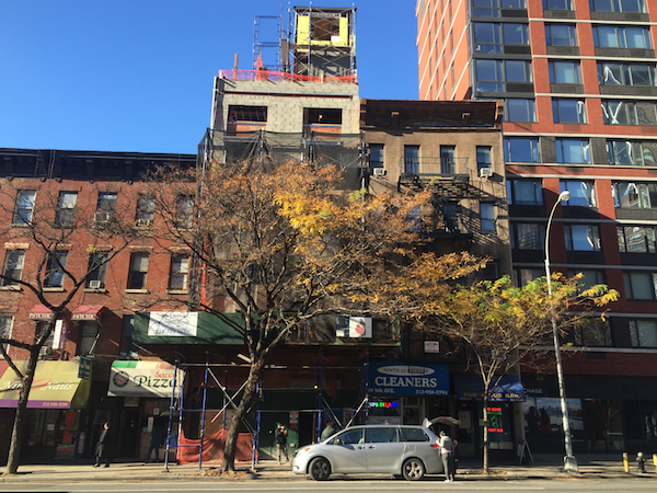 Obscured by scaffolding and a tree, 821 Ninth Ave. is rebuilt following an illegal demolition. Photo by Sean Egan.