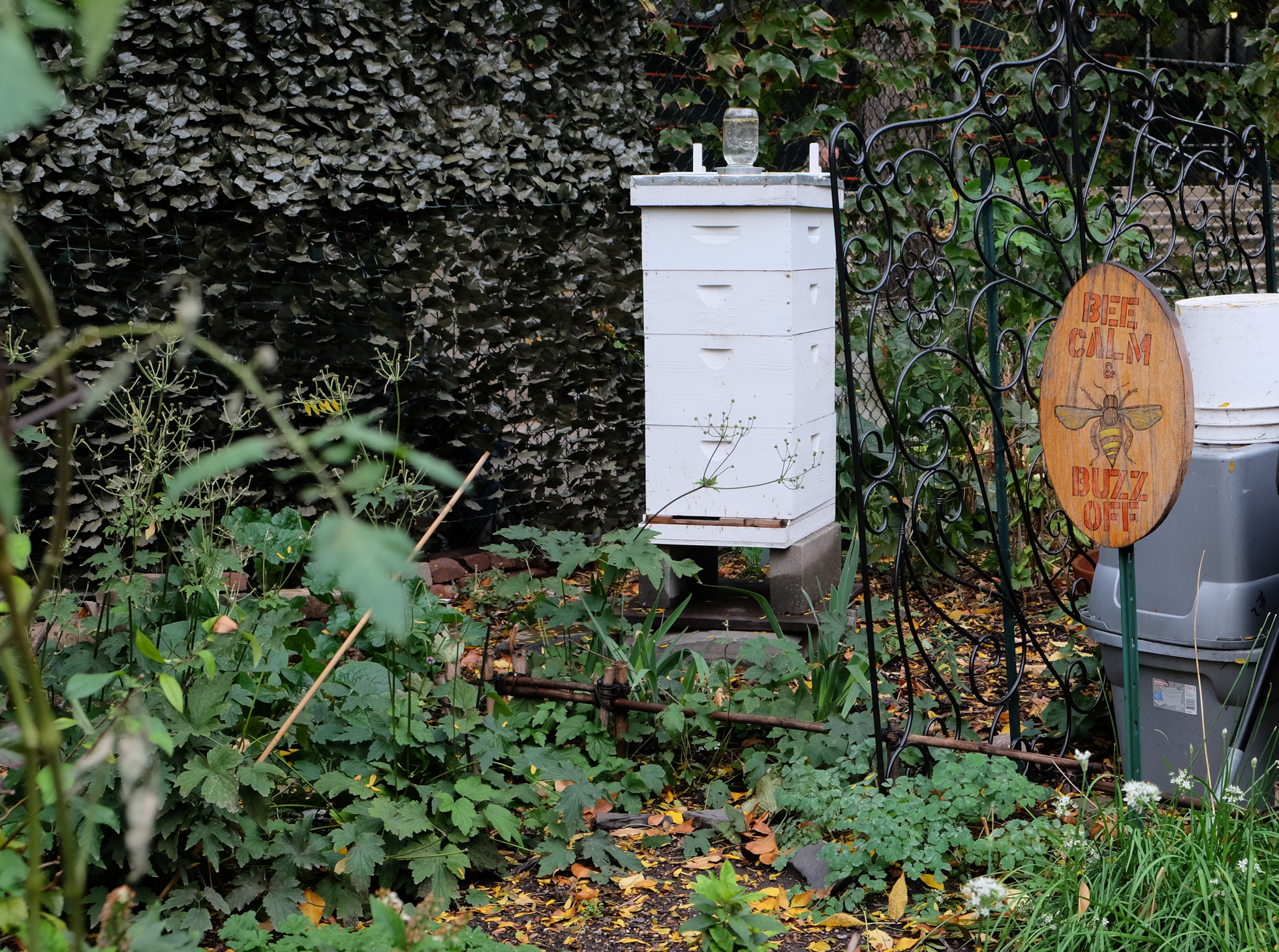 Keep hive alive! Gardeners stuck on saving bees 7 tq-bees-1434