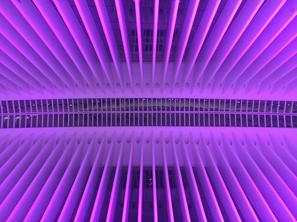 Flipping the light fantastic: Shifting, multicolored light show transforms Oculus interior into work of art 1 Photo by Dennis Lynch