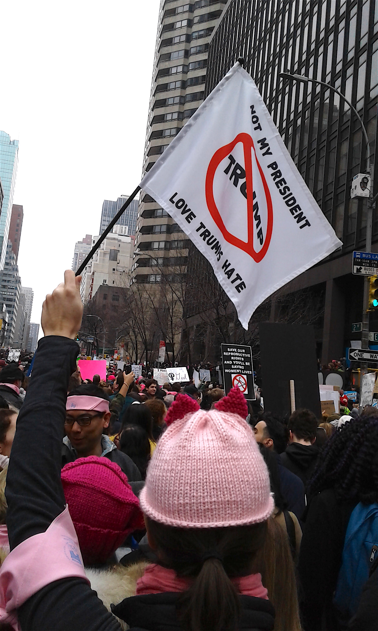 A Villager sporting a pussyhat with a distinctive dark-pink ear design "flagged" Trump for gross violations.