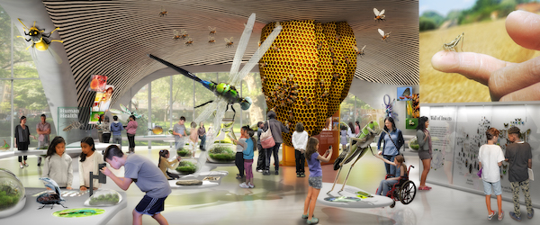 Visitor Immersion Key to Natural History's Gilder Center 2 The Insectarium planned for the first floor. | RALPH APPELBAUM ASSOCIATES
