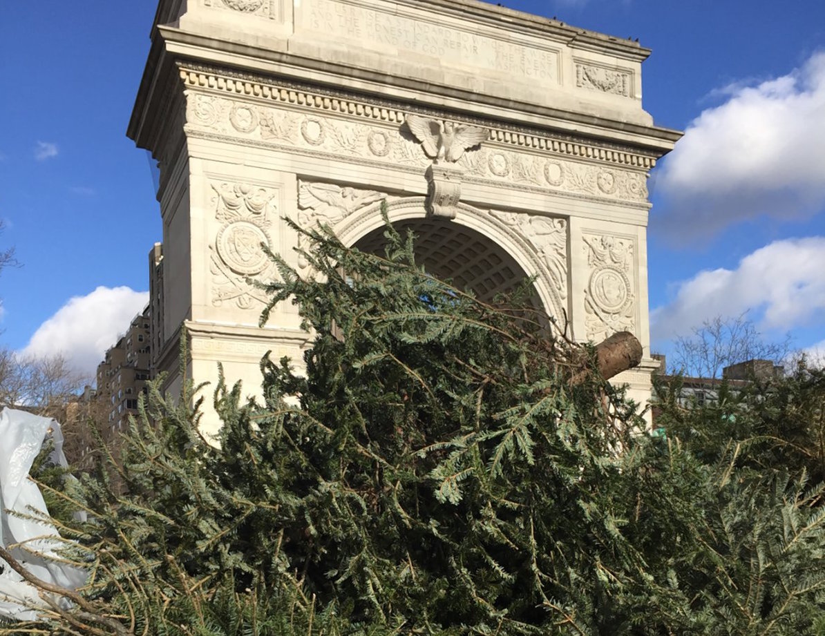 christmas-mulch-washington-square-2017-01-05-vvilprint_webweb