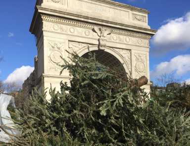 christmas-mulch-washington-square-2017-01-05-vvilprint_webweb
