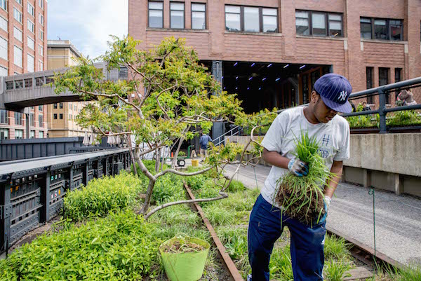 A teen working at the High Line as part of the employment program — which over 100 teens have participated in. Photo by Anita Ng, courtesy Friends of the High Line.