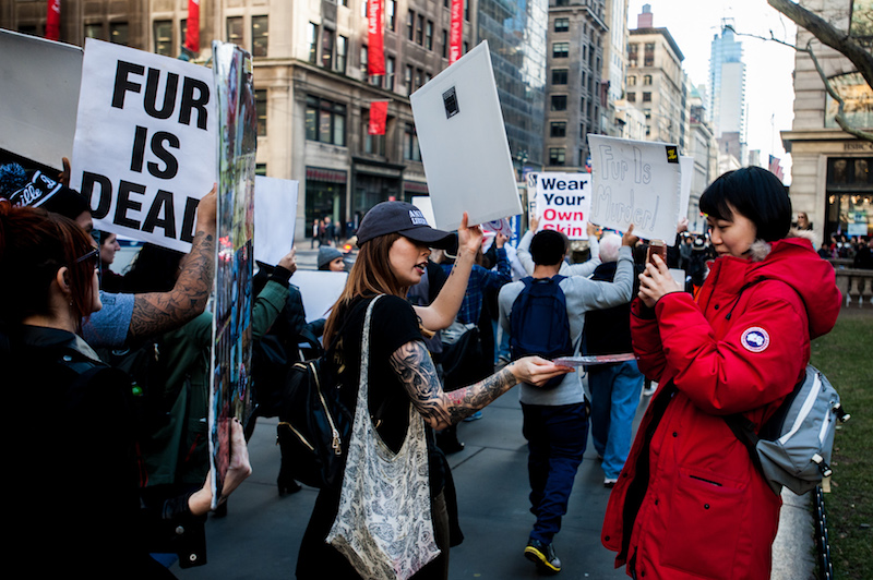 A fur foe on the march tried to influence a Canada Goose coat wearer to shed her ways, but the woman apparently just thought it made a cool photo.