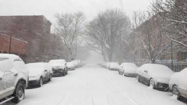 snow–cropped / mg