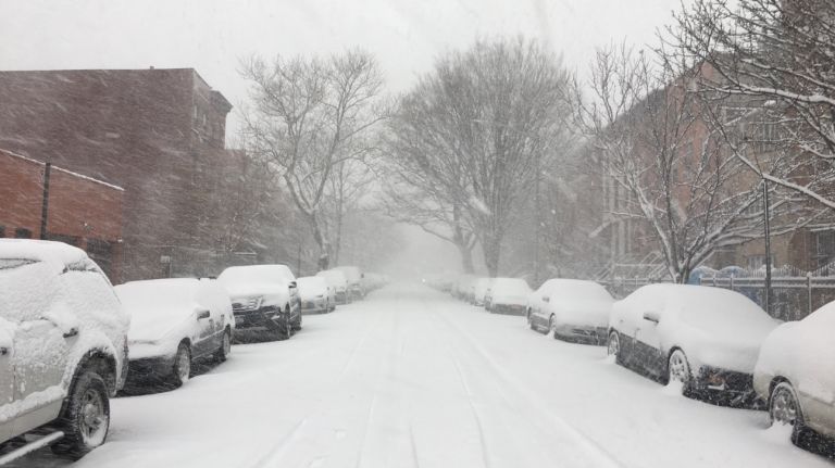 snow–cropped / mg