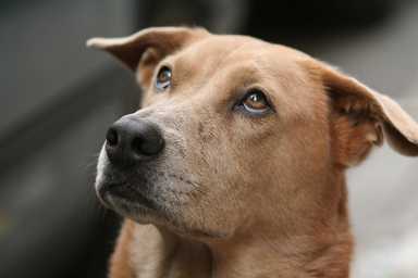 jesse-jane-2017-02-09-v,VIL,PRINT_WEB,WEB