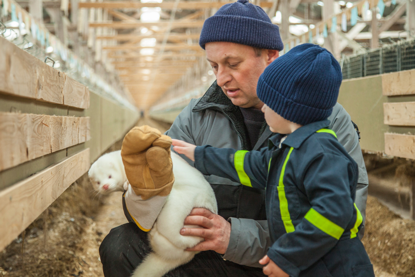 Peter Noer, a second-generation fur farmer — with his son — who came to Newfoundland from Denmark to raise mink. “We give our animals the best possible care and humane treatment," Noer says on TruthAboutFur.com. "Fur is our province’s most valuable agricultural export.”