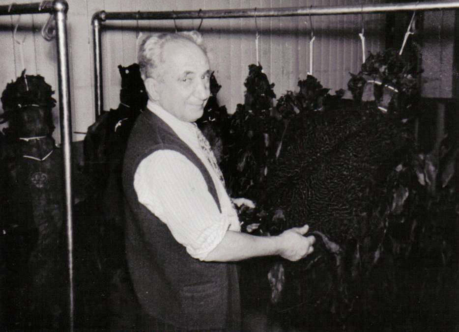 Ethical fur versus intolerant animal activists 2 Armand Herscovici, the writer's grandfather, learned the furrier’s art from his father in Paris, before coming to Montreal in 1913. He is shown here in the 1950s examining Persian lamb skins in his stockroom at A-J Herscovici Furs Ltds, the company he founded with his son, Jack Herscovici, the writer's father.