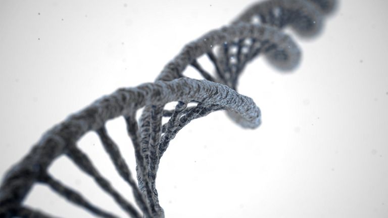 Don’t allow genetic stop-and-frisk 2 DNA molecule spiral structure on abstract white background. Biology, science and medical technology concept. 3D illustration