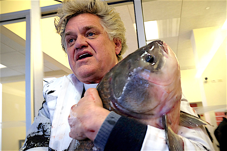 rev billy, fish heads copy