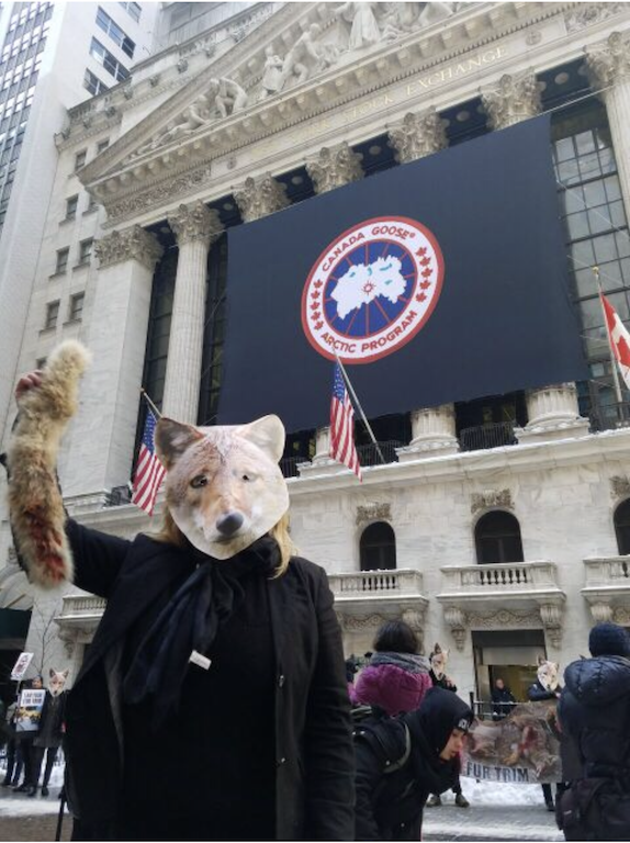 An animal-rights activist wearing a coyote mask and holding a bloody coyote collar (which we’re guessing was probably faux fur) outside the New York Stock Exchange last Thursday. The giant Canada Goose banner on the temple of capital, and also a Canadian flag, were added in honor of the company’s initial public stock offering.