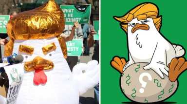 Trump Chicken