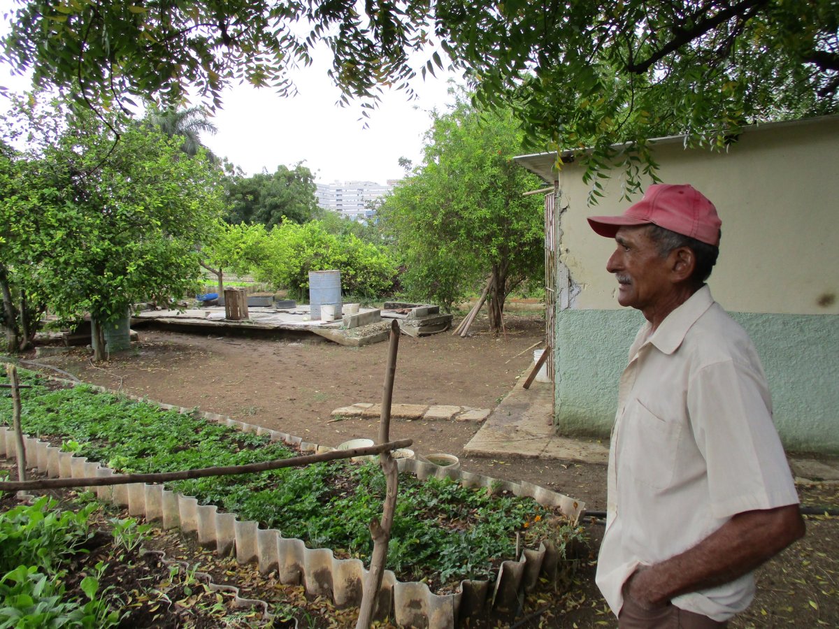 Our man in Havana on its farms and gardens 2