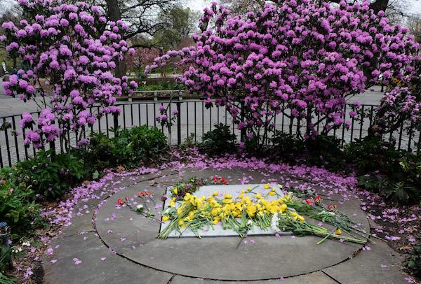 Daffoldils and azaelas cover the memorial plaque. | TEQUILA MINSKY