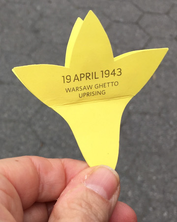 Remembering the 1943 Warsaw Ghetto Uprising 6 A daffodil remembrance. | TEQUILA MINSKY