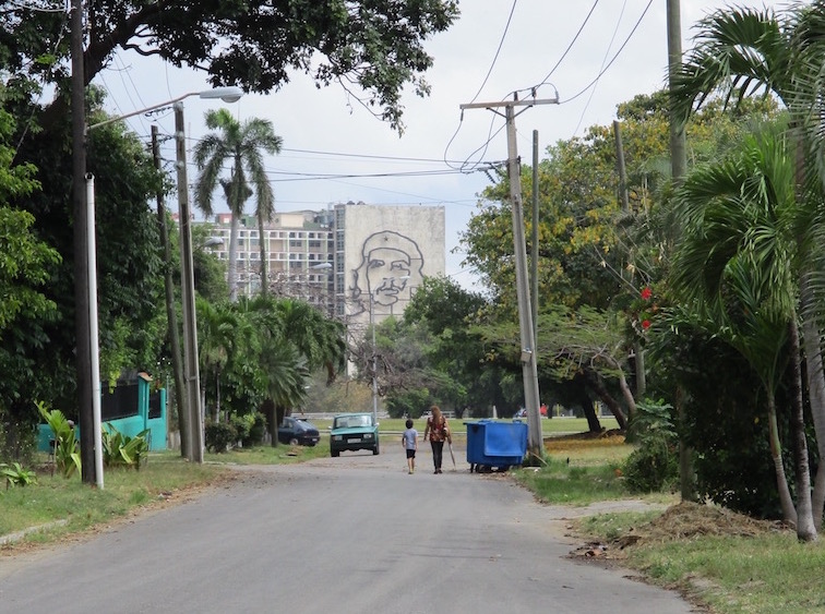 Our man in Havana on its farms and gardens 3