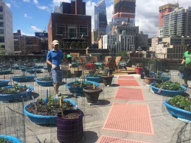 Web June 15 HKFP Rooftop