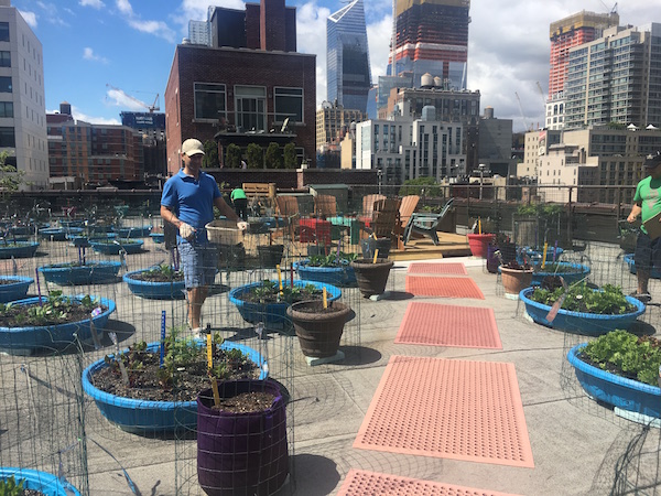 Web June 15 HKFP Rooftop