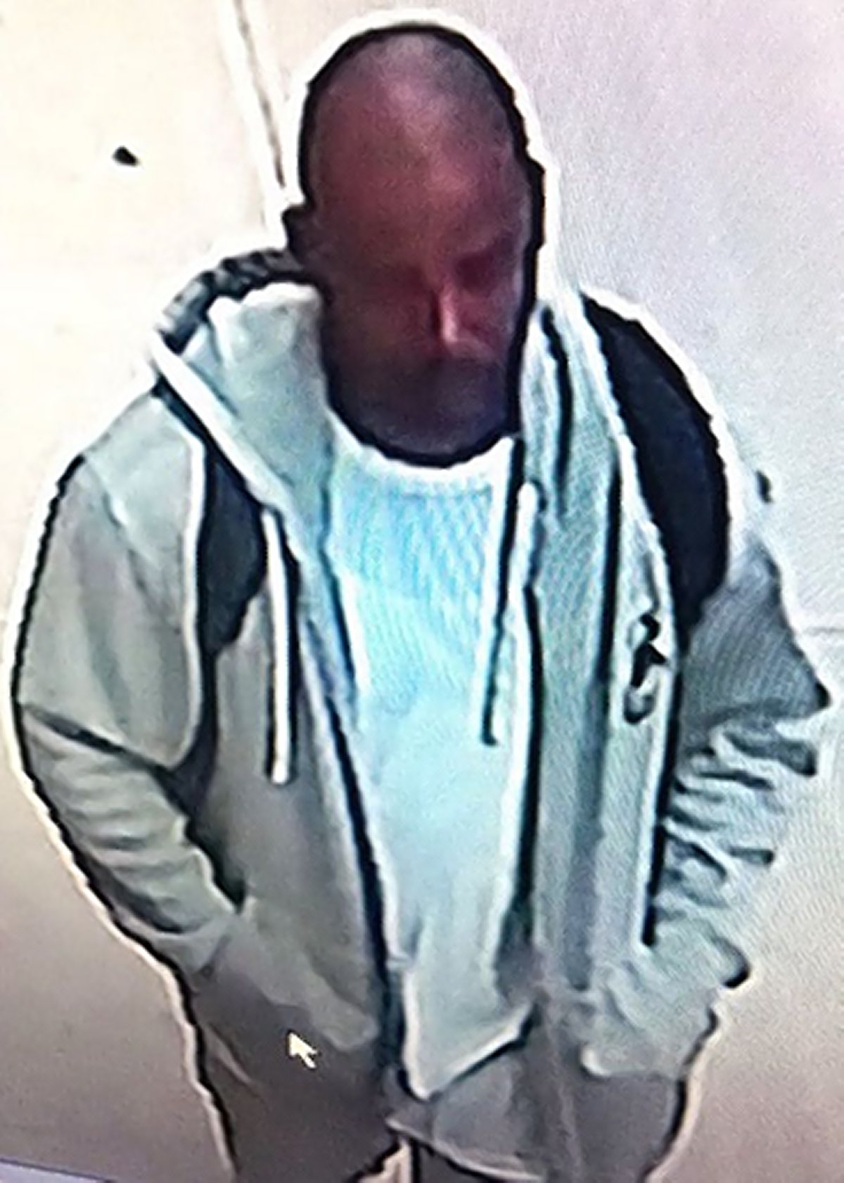 POLICE BLOTTER: Cops catch Spring St. subway mug suspect 3