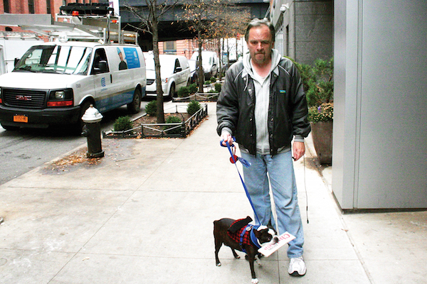 Bettie the Boston Terrier, 9, Was a Neighborhood Paper’s Best Friend 1